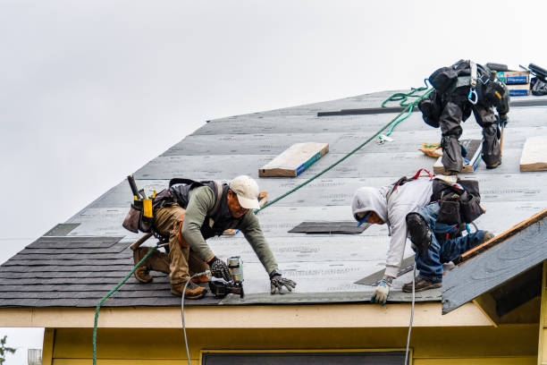 Professional Gutter Installation technician working in Thayer, IA